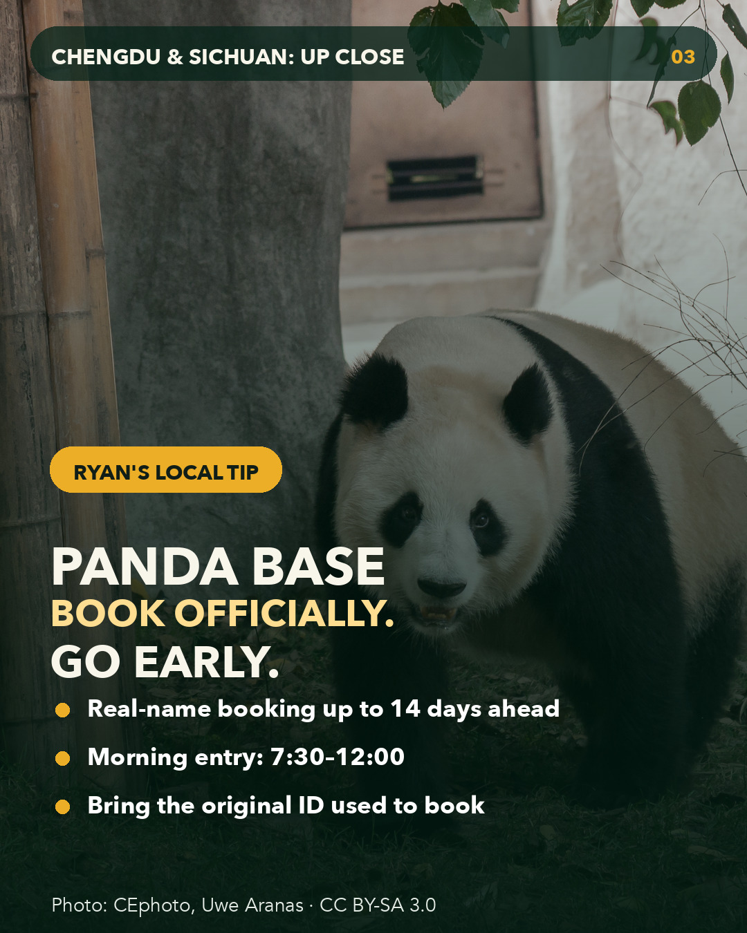 Ryan's local planning tip for Chengdu Panda Base