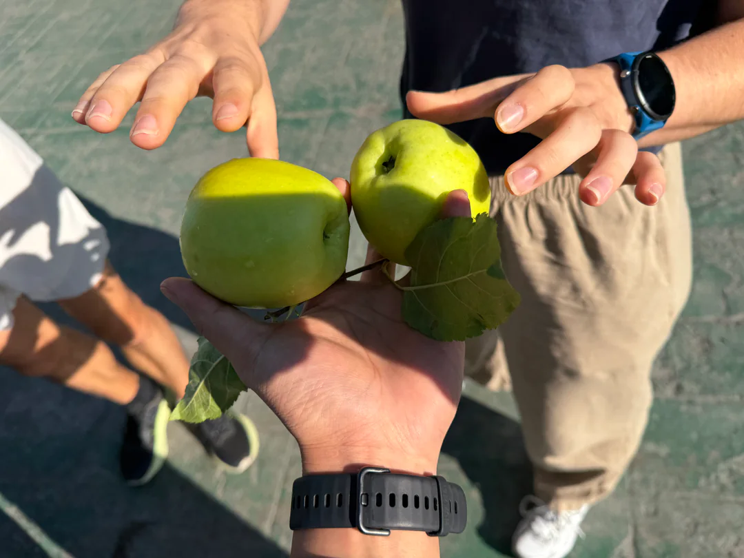A green apple offered along the journey